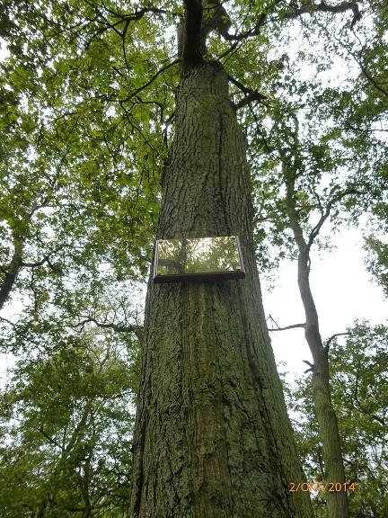 plaque on tree