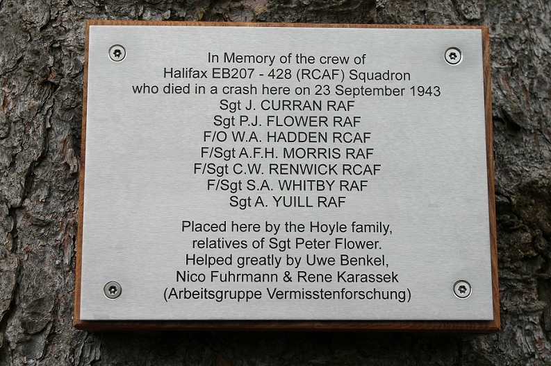 the plaque